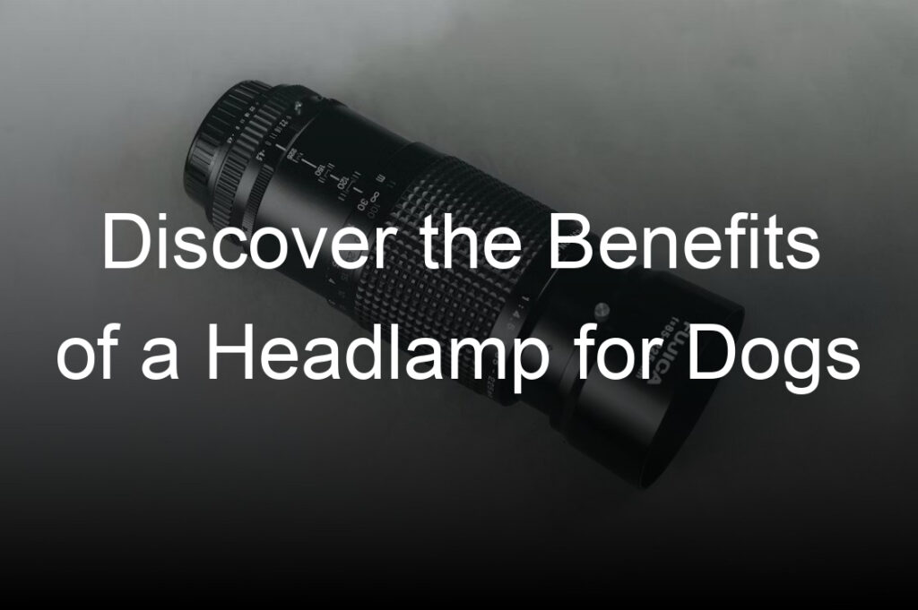 discover the benefits of a headlamp for dogs