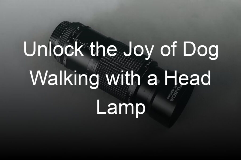 unlock the joy of dog walking with a head lamp
